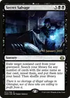 Product image for Secret Salvage