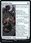 Product image for Paladin Class