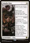 Product image for Paladin Class