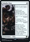 Product image for Paladin Class