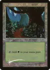 Product image for Forest