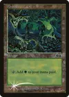 Product image for Forêt