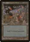 Product image for Swamp