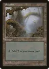 Product image for Swamp
