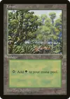 Product image for Forest