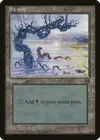 Product image for Swamp