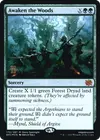 Product image for Awaken the Woods