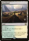 Product image for Brushland