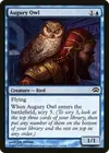 Product image for Augury Owl