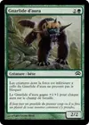 Product image for Gnarlide d'aura