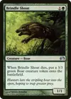 Product image for Brindle Shoat