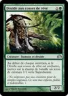 Product image for Druide aux cosses de rêve