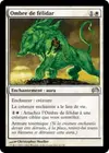 Product image for Ombre de félidar