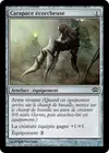 Product image for Carapace écorcheuse