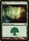 Product image for Forest