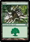Product image for Forêt