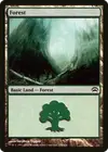 Product image for Forest