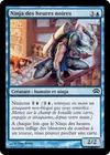 Product image for Ninja des heures noires