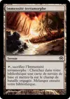 Product image for Immensité terramorphe