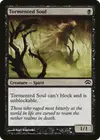 Product image for Tormented Soul