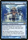 Product image for Whirlpool Warrior