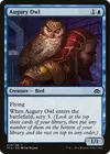 Product image for Augury Owl