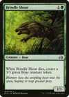 Product image for Brindle Shoat