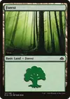 Product image for Forêt