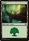 Product image for Forest