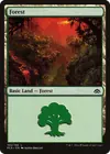 Product image for Forest