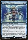 Product image for Whirlpool Warrior