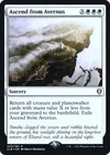 Product image for Ascension d'Averne