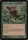 Product image for Pygmy Razorback