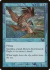 Product image for Stormwatch Eagle