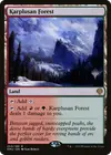 Product image for Karplusan Forest
