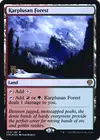 Product image for Karplusan Forest