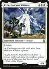 Product image for Evra, Halcyon Witness
