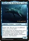 Product image for Slinn Voda, la Profondeur ascendante