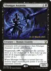 Product image for Assassin de Silumgar
