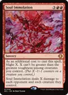 Product image for Immolation de l'âme