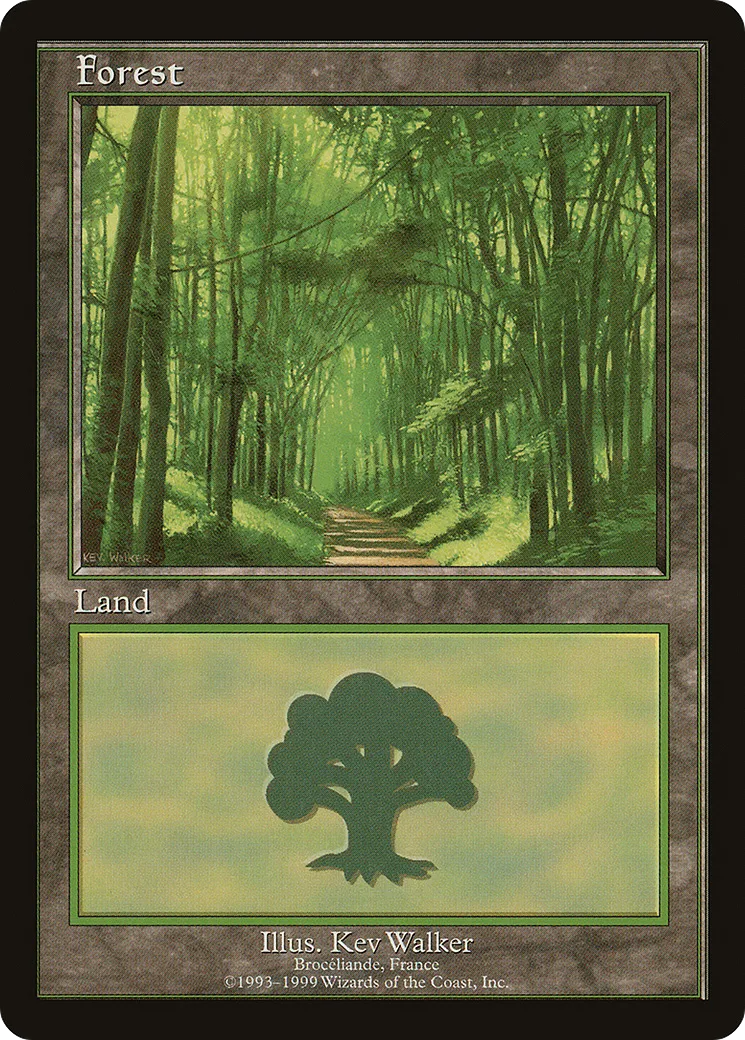 Forest — European Land Program — Magic: The Gathering