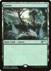 Product image for Forest