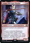 Product image for Firion, Wild Rose Warrior
