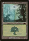 Product image for Forest
