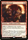 Product image for Wildfire Eternal