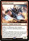 Product image for Wildfire Eternal