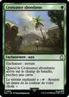 Product image for Croissance abondante