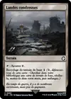 Product image for Landes cendreuses