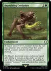 Product image for Branching Evolution