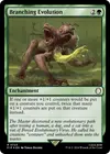 Product image for Branching Evolution
